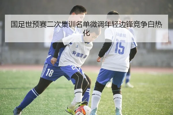 国足世预赛二次集训名单微调年轻边锋竞争白热化