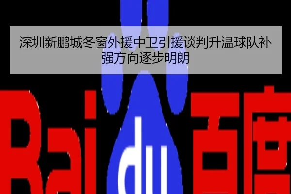 深圳新鹏城冬窗外援中卫引援谈判升温球队补强方向逐步明朗