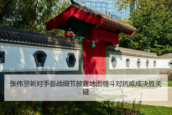 张伟丽新对手备战细节披露地面缠斗对抗或成决胜关键